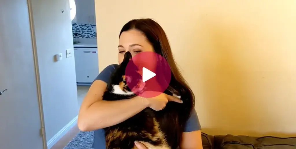 30 Seconds to a $1000 SPAFINDER Gift Card
