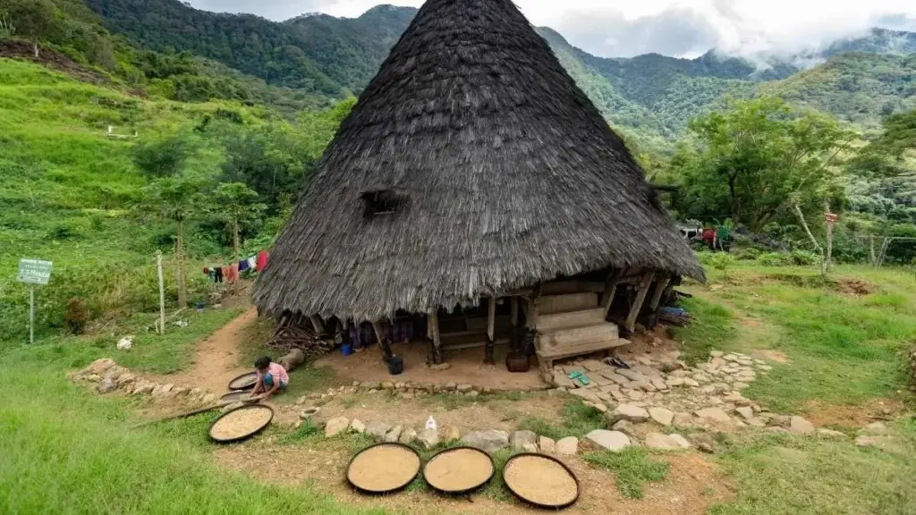 Beyond the Green Veneer: A Definitive Global Guide to True Ecotourism Principles, Practice, and Accountability