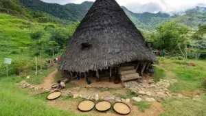 Beyond the Green Veneer: A Definitive Global Guide to True Ecotourism Principles, Practice, and Accountability