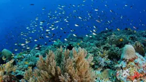 Beyond the Green Veneer: Unpacking the Evolution, Ethics, and Economics of Modern Ecotourism