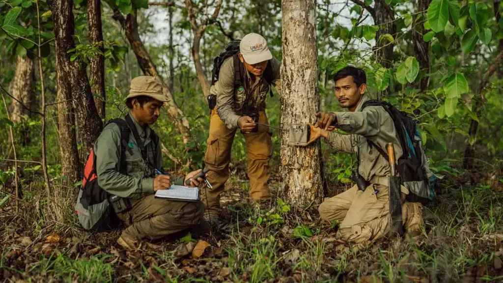 Beyond the Greenwashing Debate: Why Carbon Offsets Remain an Indispensable Tool for the Future of Sustainable Tourism