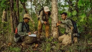 Beyond the Greenwashing Debate: Why Carbon Offsets Remain an Indispensable Tool for the Future of Sustainable Tourism