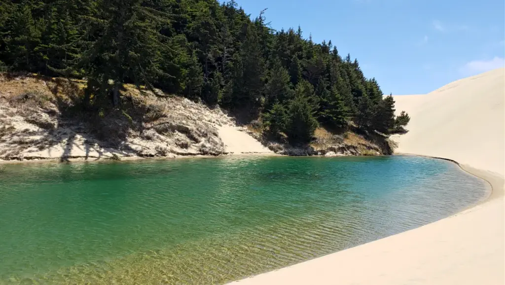 Escaping to the Pacific Edge: A Solo Traveler’s Guide to Florence, Oregon’s Unspoiled Coastline