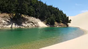 Escaping to the Pacific Edge: A Solo Traveler’s Guide to Florence, Oregon’s Unspoiled Coastline