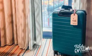 Navigating the Modern Baggage Crisis: Expert Strategies for Surviving Lost and Delayed Luggage
