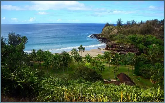 Navigating the Skies: Comprehensive Analysis of the Latest Kauai Airfare Sales, Market Dynamics, and Consumer Strategies