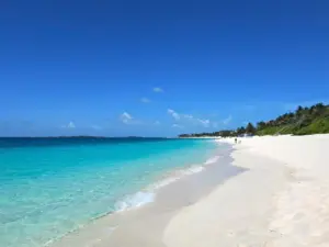 Paradise Island’s Best-Kept Secret: The Untold Story of Cabbage Beach