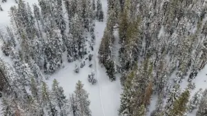 State Penalizes Blackbird Mountain Guides $151,000 Over Catastrophic Tahoe Avalanche That Claimed Nine Lives