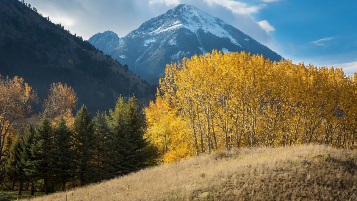 The Autumn Renaissance of Big Sky: How a New Culinary Festival Is Redefining Montana’s Shoulder Season