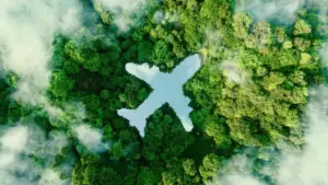 The Death of Vague Eco-Claims: How the EU’s EmpCo Directive Will Force Tourism to Clean Up Its Act