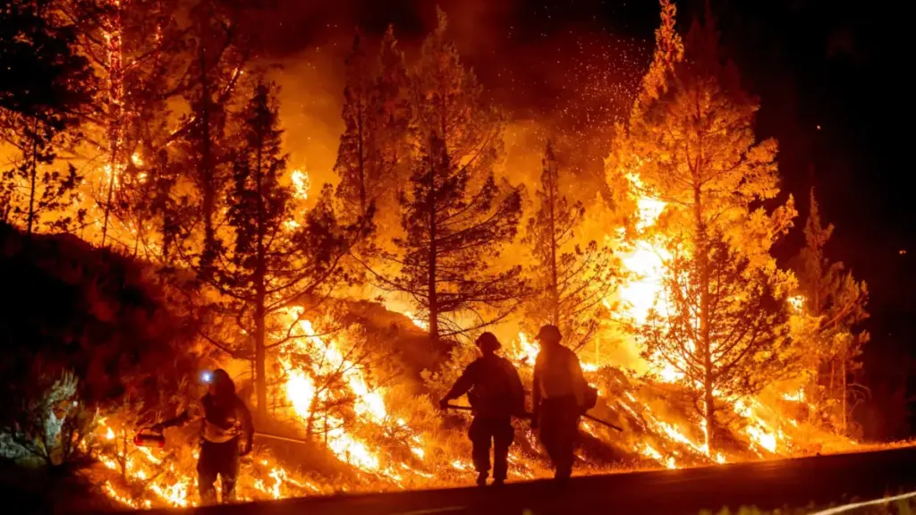 Tragedy on Mount Hood: The Grasshopper Fire Consumes Historic Flag Point Lookout and Shuts Down the Pacific Northwest’s Premier Alpine Playground