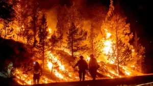 Tragedy on Mount Hood: The Grasshopper Fire Consumes Historic Flag Point Lookout and Shuts Down the Pacific Northwest’s Premier Alpine Playground