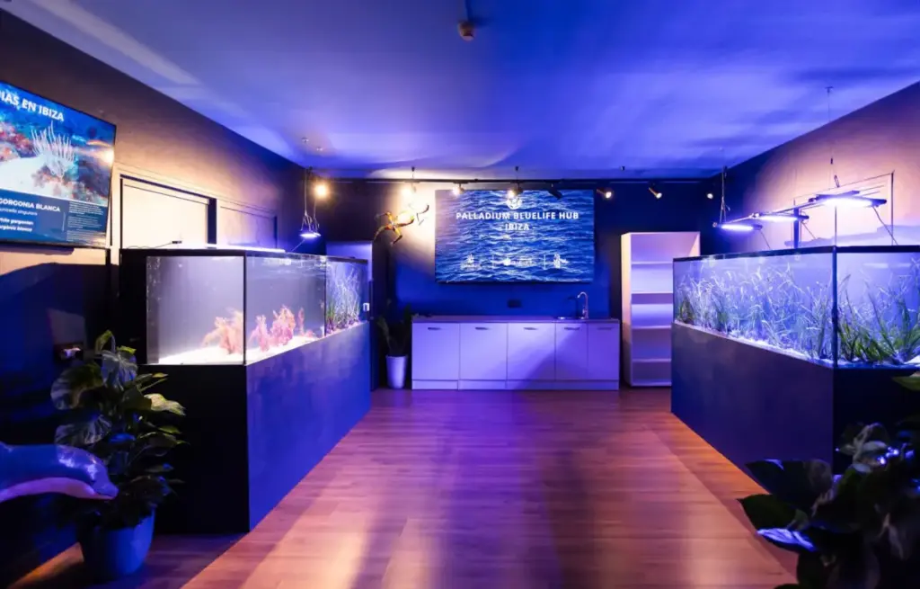 Beyond the Coral Reefs: Why the Hospitality Industry Is Turning Its Attention to the Ocean’s Unsung Eco-Hero