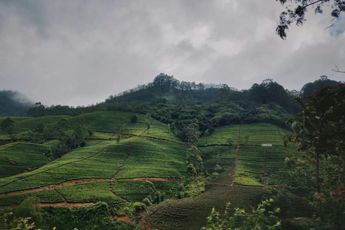 Value Over Volume: Inside Sri Lanka’s Ambitious Strategy to Attract High-Spending Travelers